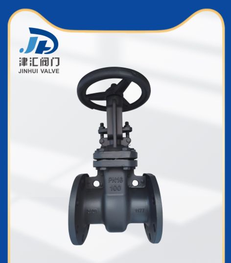 Z41H-16C 鑄鋼閘閥